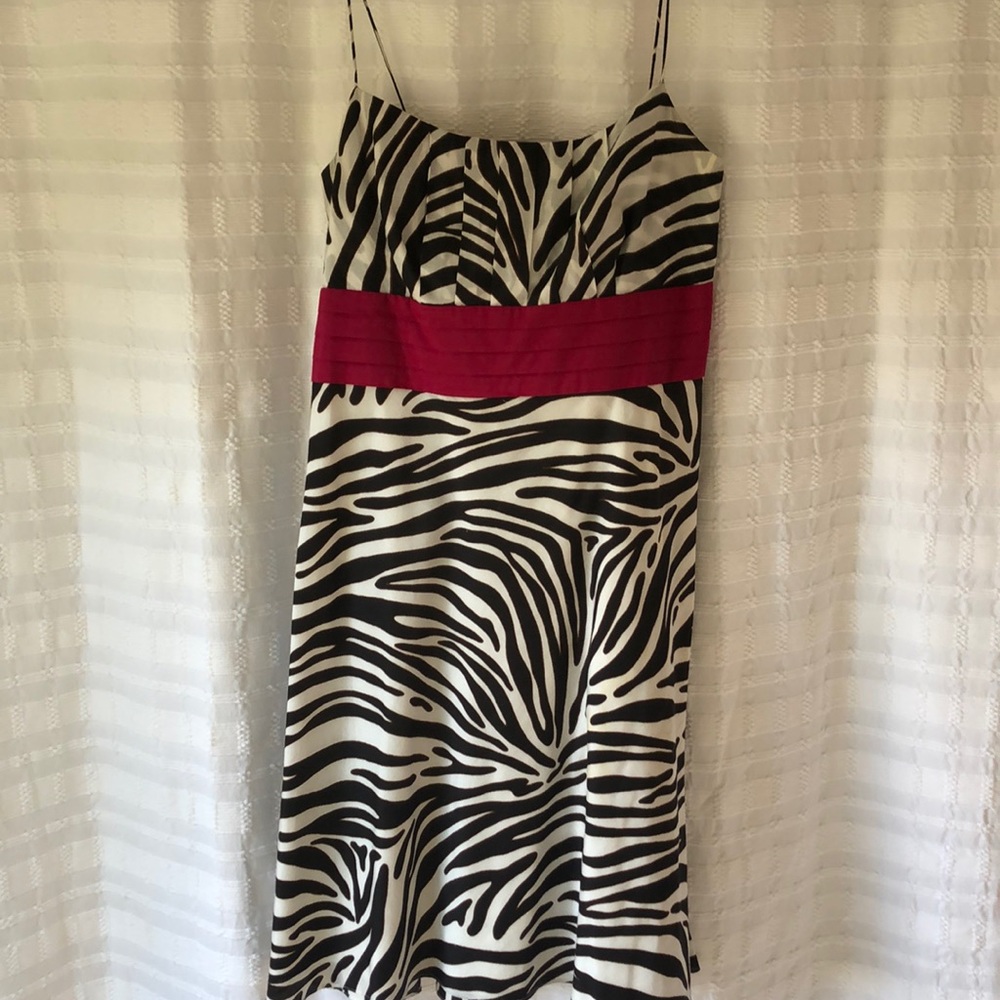 Ann Taylor Black and White Zebra Print Dress with Pink Accent